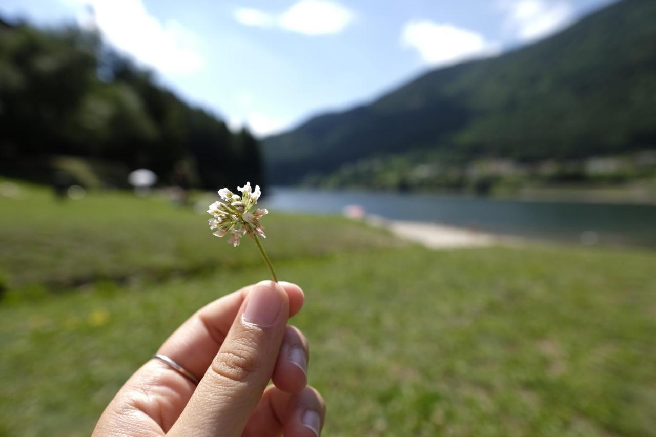 B&B Relais Dolomiti Bedollo Екстериор снимка