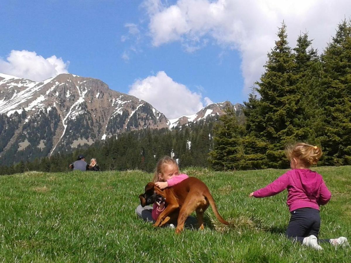 B&B Relais Dolomiti Bedollo Екстериор снимка