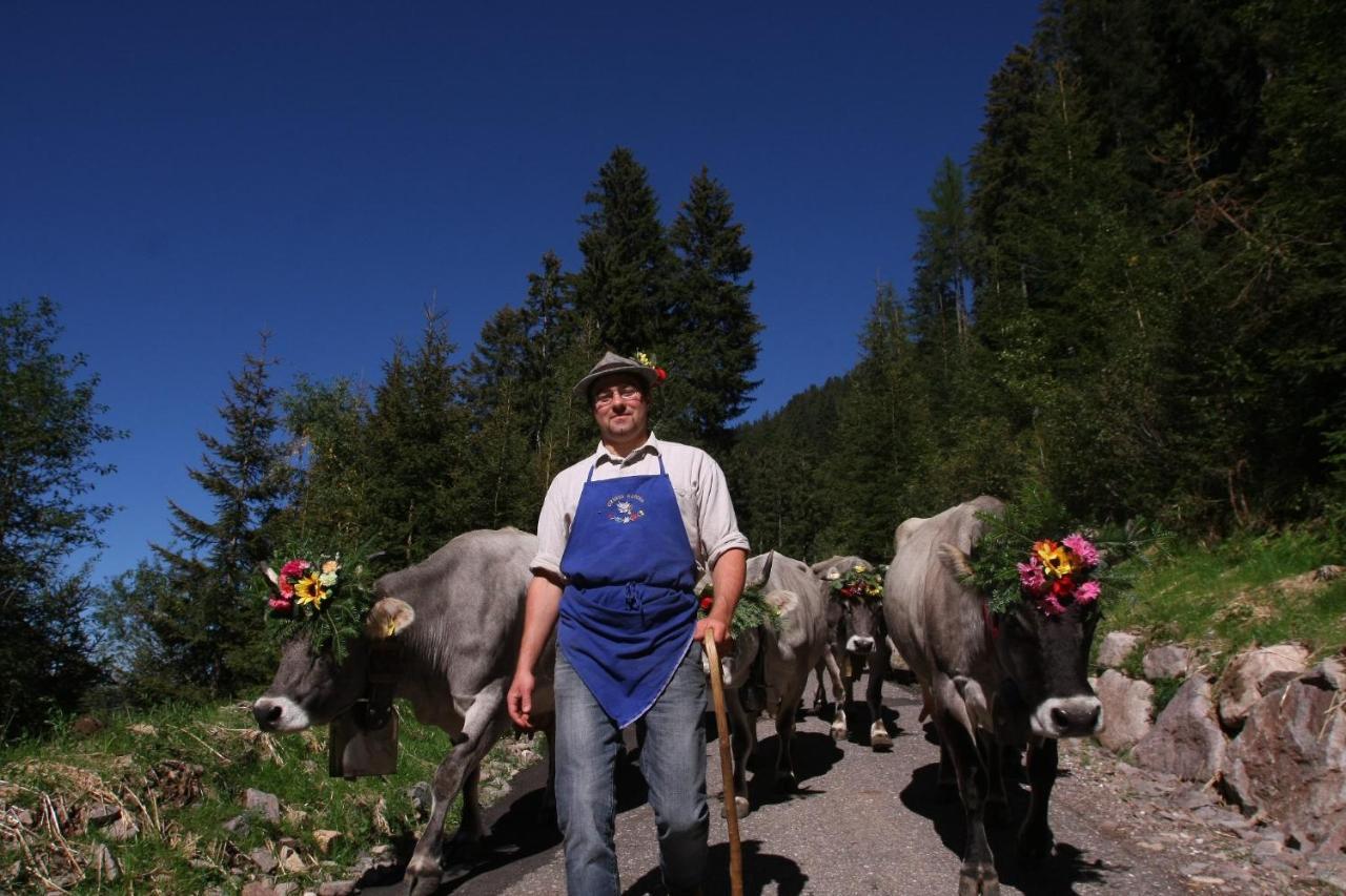 B&B Relais Dolomiti Bedollo Екстериор снимка
